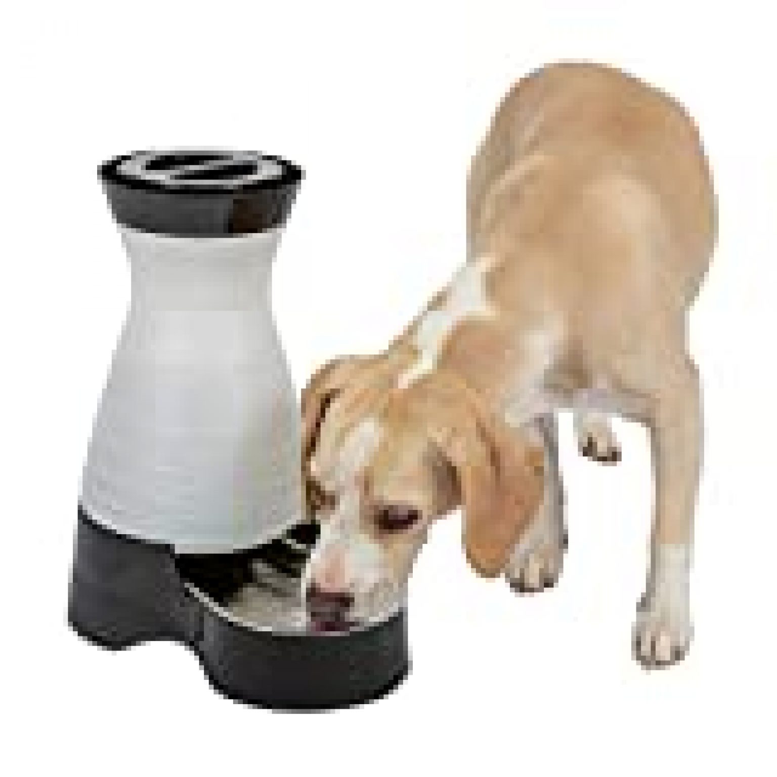 PetSafe Healthy Pet Water Station, Dog and Cat Water System with