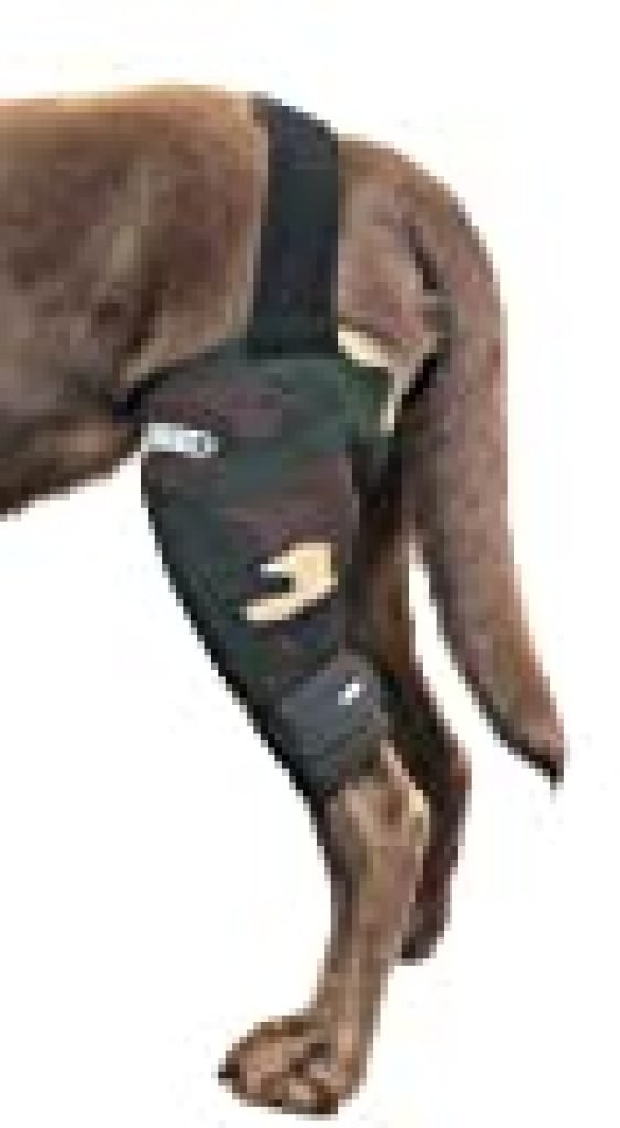 Walkabout Harnesses Camouflage Knee Brace for Dogs, Treat ACL, CCL ...