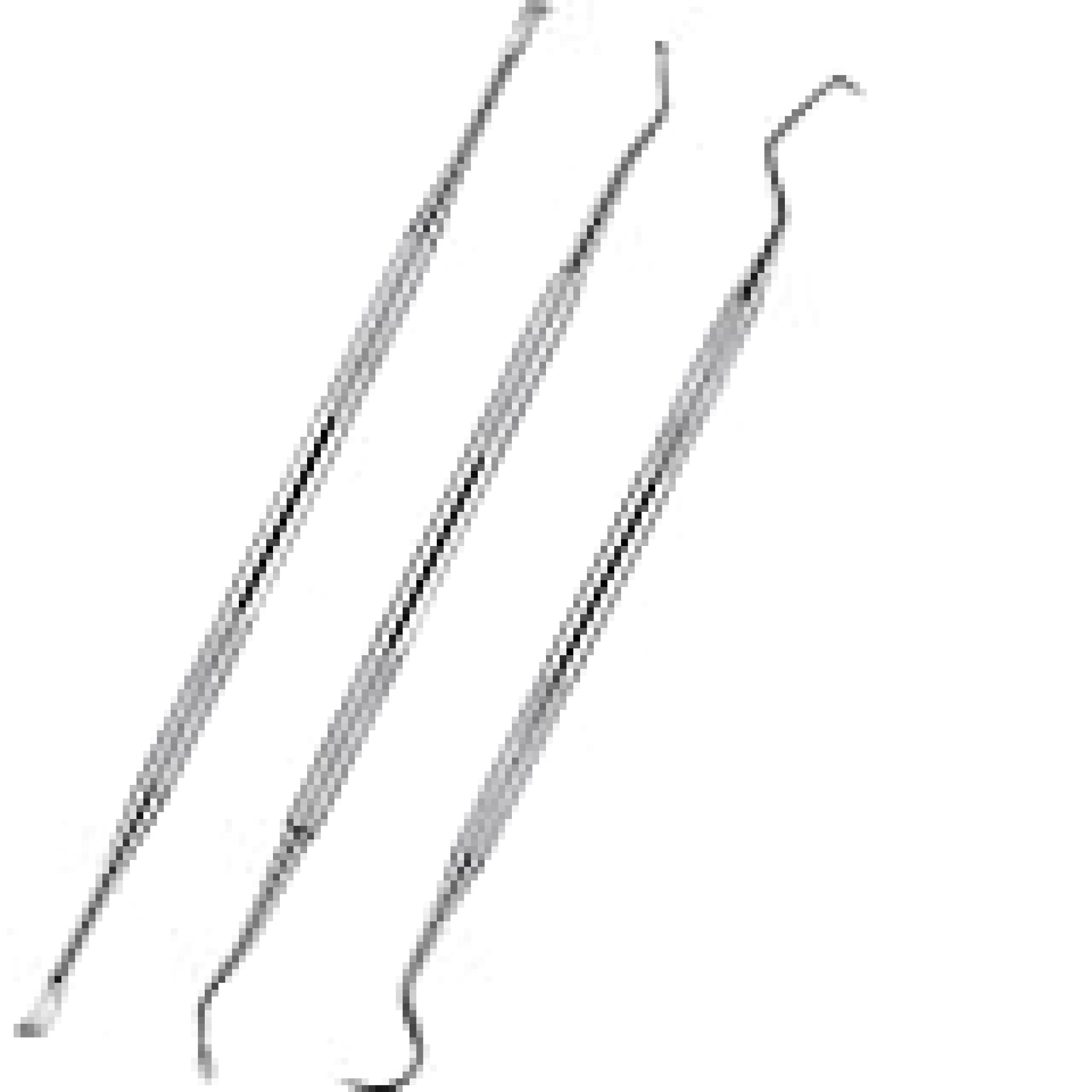 Dog Dental Tooth Scaler and Scraper Stainless Double Headed Tarter