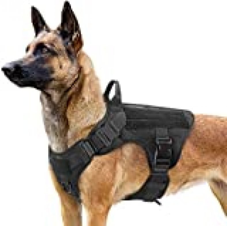 rabbitgoo Tactical Dog Harness for Medium Dogs, Military Dog Harness ...