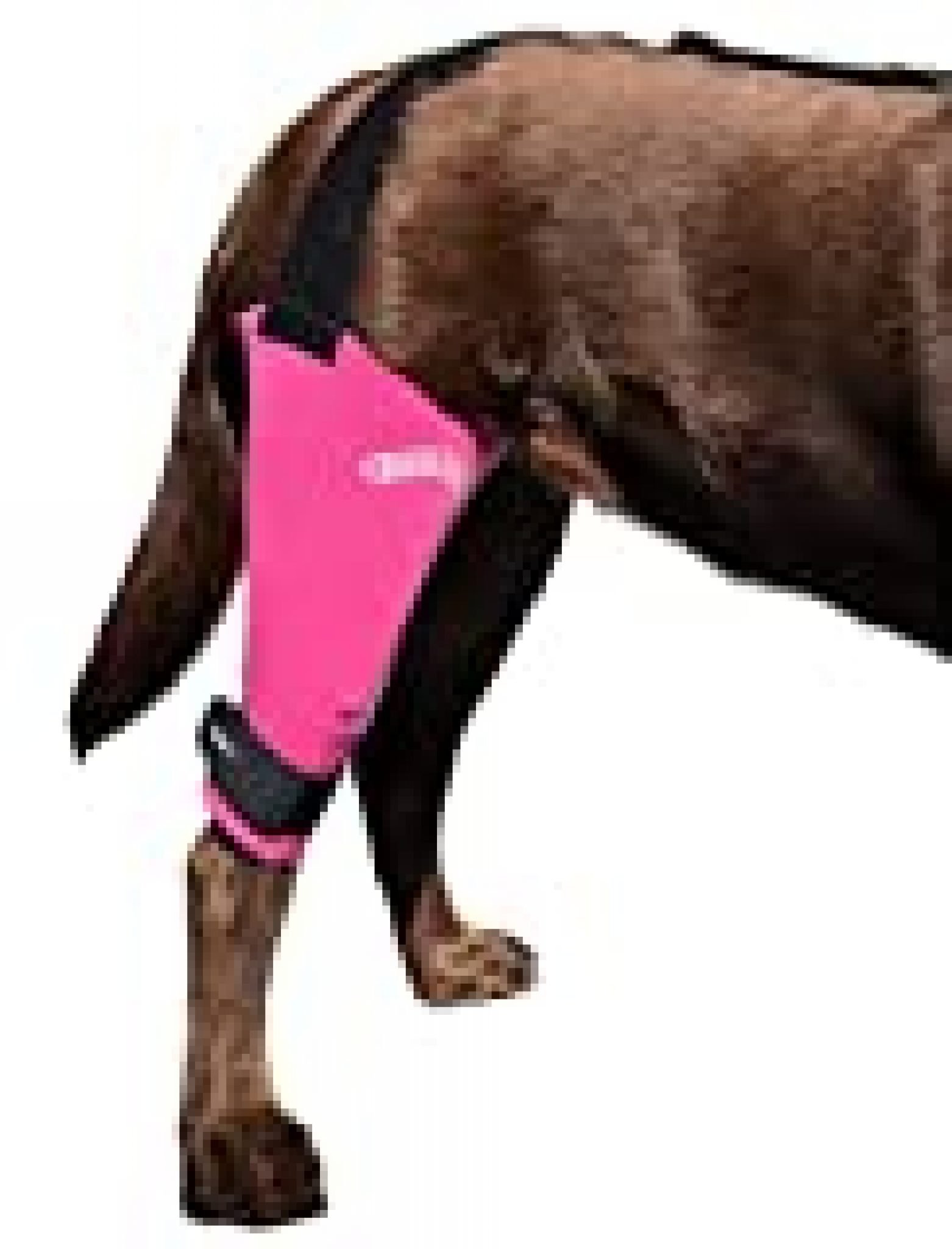 Walkabout Harnesses Pink Knee Brace for Dogs Treat ACL, CCL Injury 