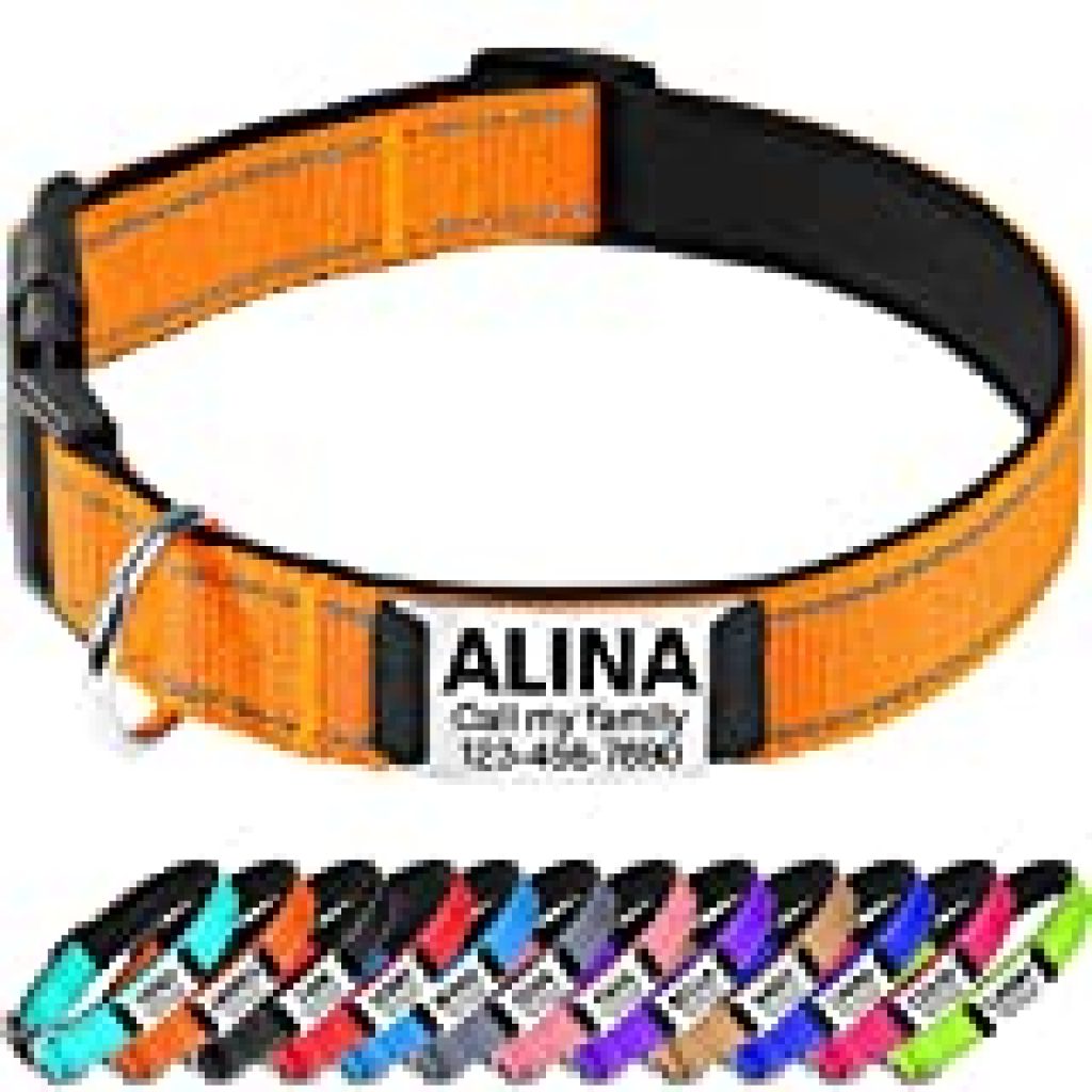 dog id tags that slide on collar dog id tags that slide on collar