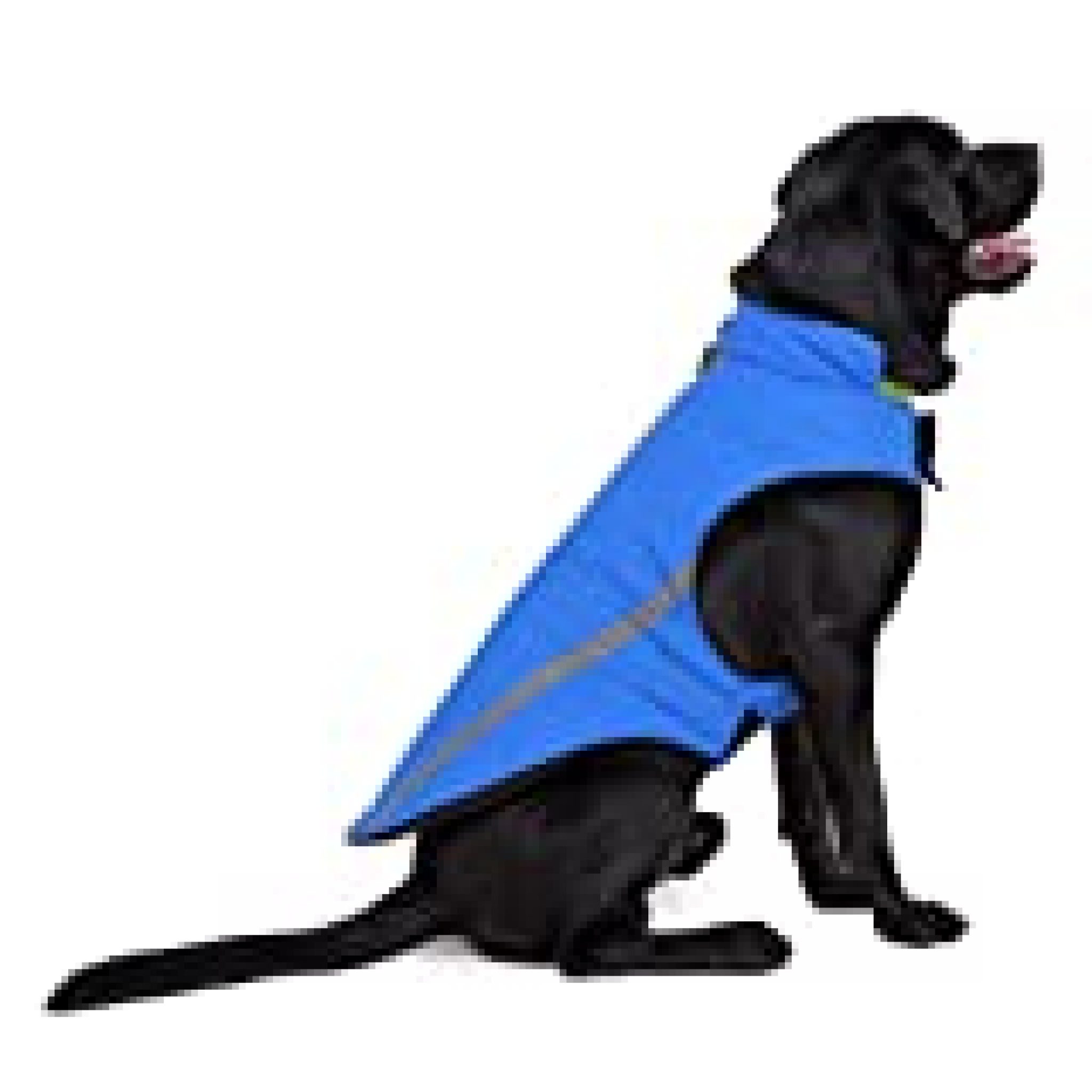 Dog Jacket - Winter Jacket For Dogs Soft Fleece Lining Extra Warm - Pet 