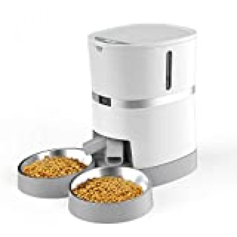 best automatic cat feeder buying guide