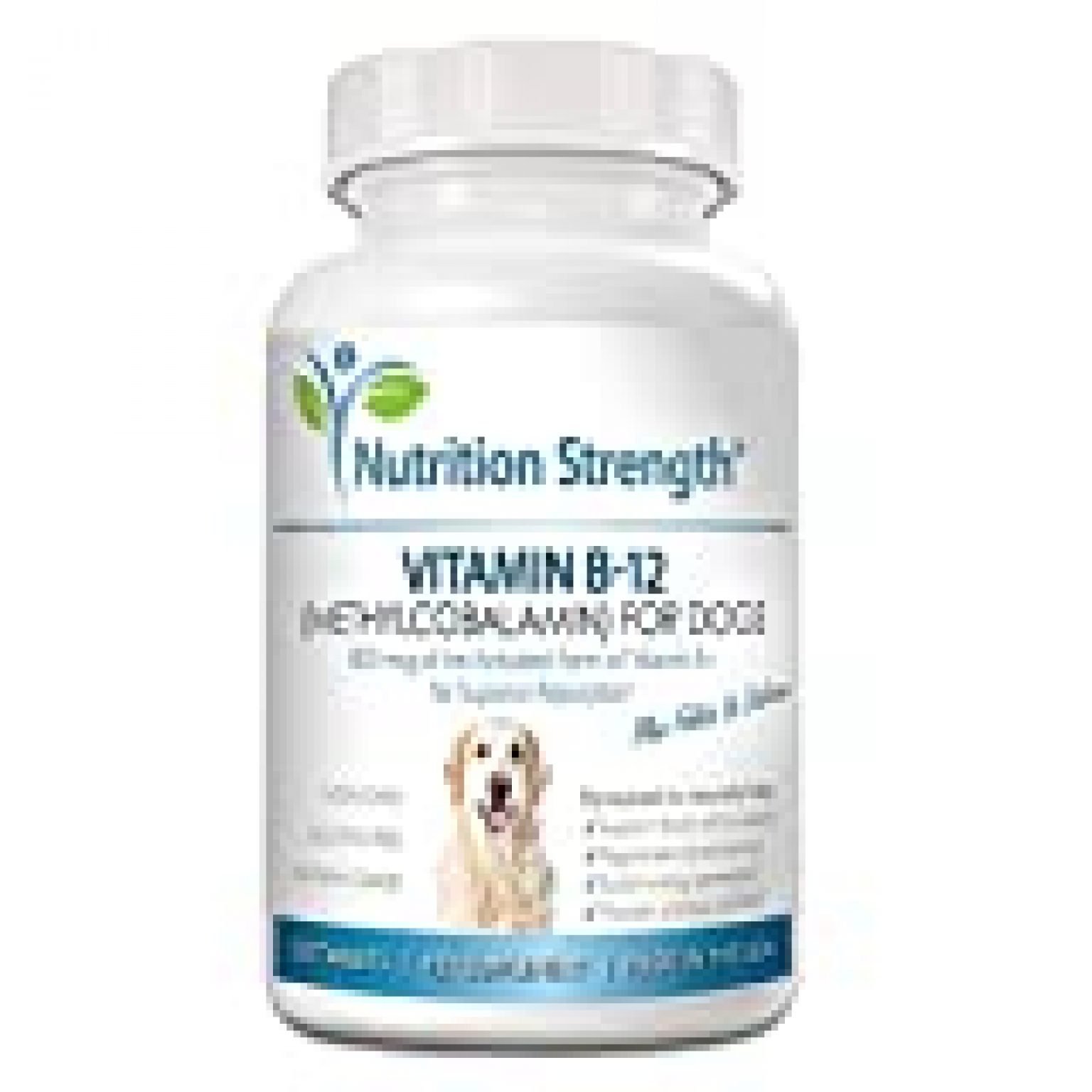 Nutrition Strength Vitamin B12 For Dogs Plus Folate & Calcium, Support ...