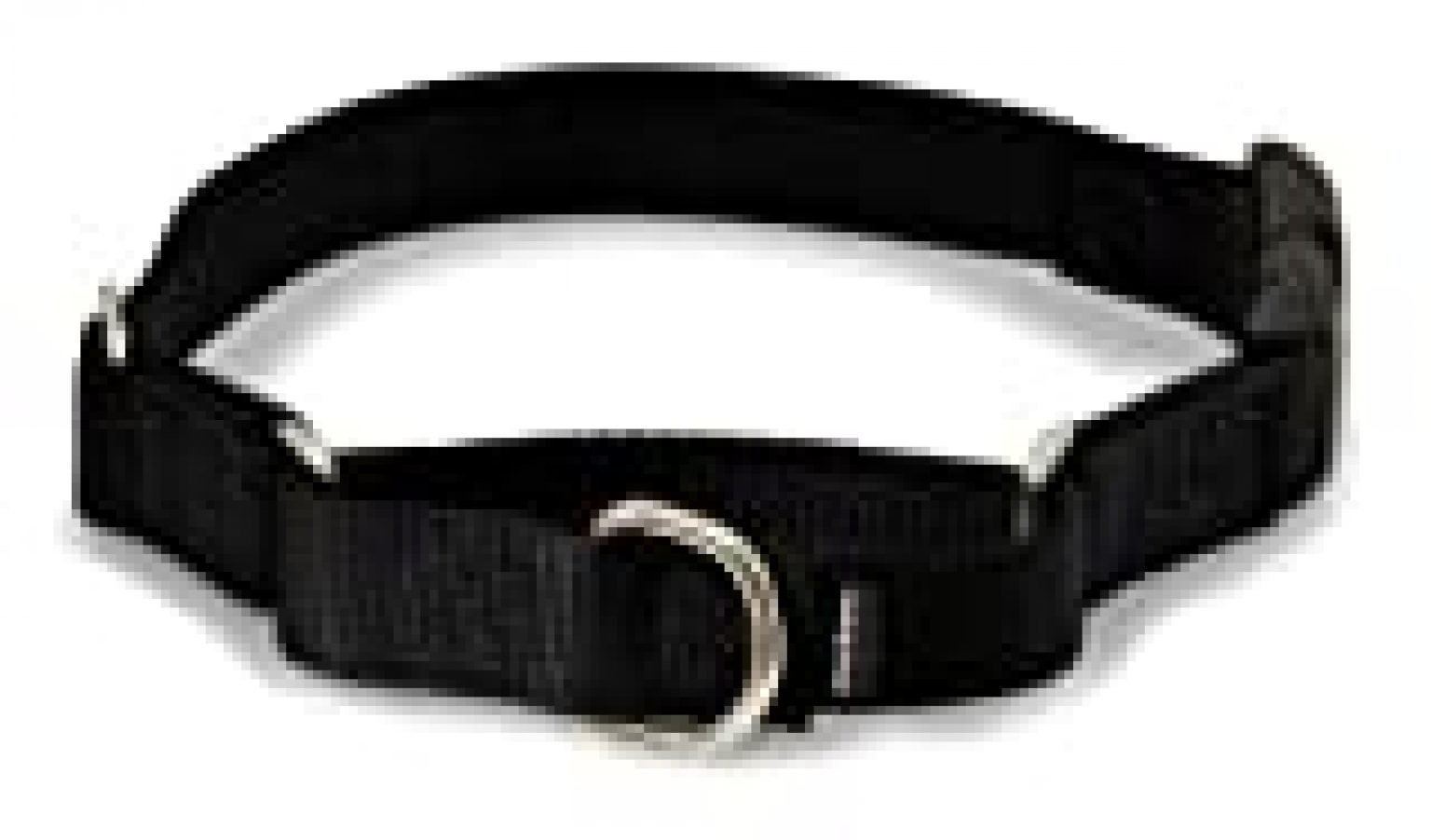 PetSafe Martingale Collar with Quick Snap Buckle, 1" Large, Black