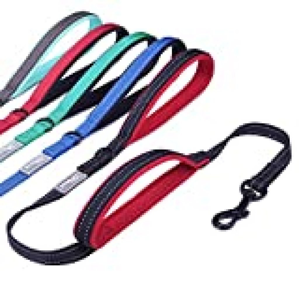 Vivaglory Dog Leash with 2 Padded Handles, Heavy Duty 4ft Long