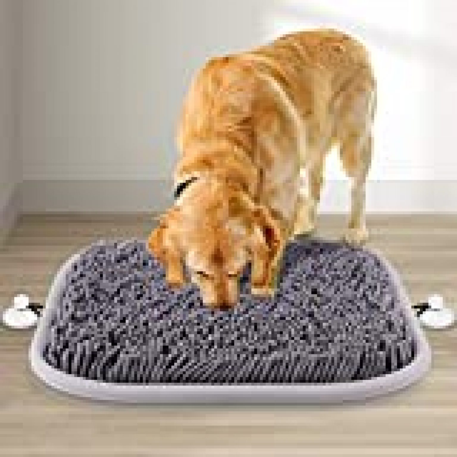 floating mat for dogs