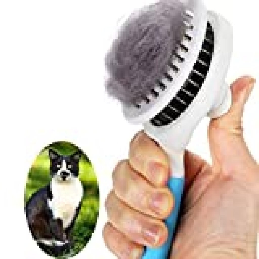 Self Cleaning Cat Hair Brush at David Abrams blog