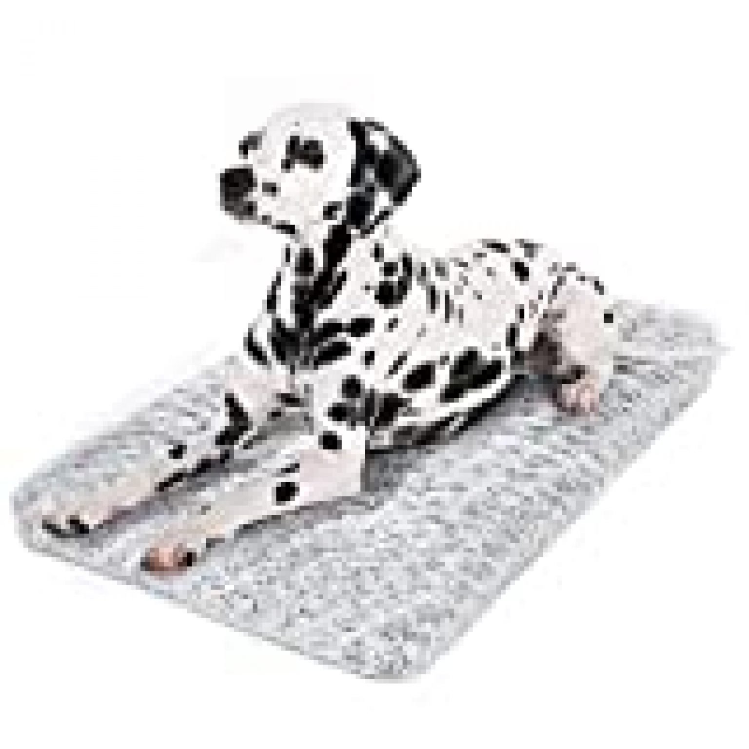 Dog Bed Kennel Pad Washable AntiSlip Crate Mat for Large Dogs and Cats (36inch)