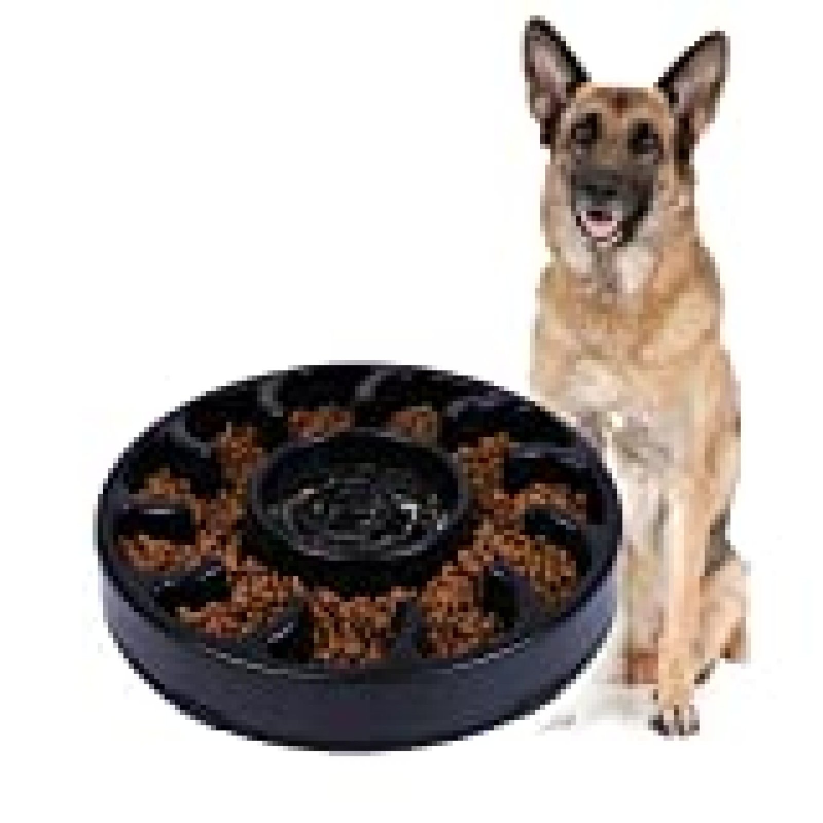 jasgood slow feeder dog bowl