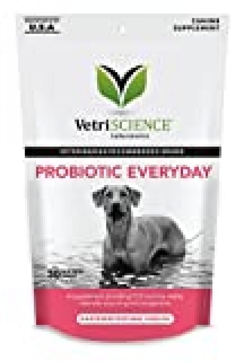 VetriScience Laboratories - Probiotic Everyday for Dogs, Digestive