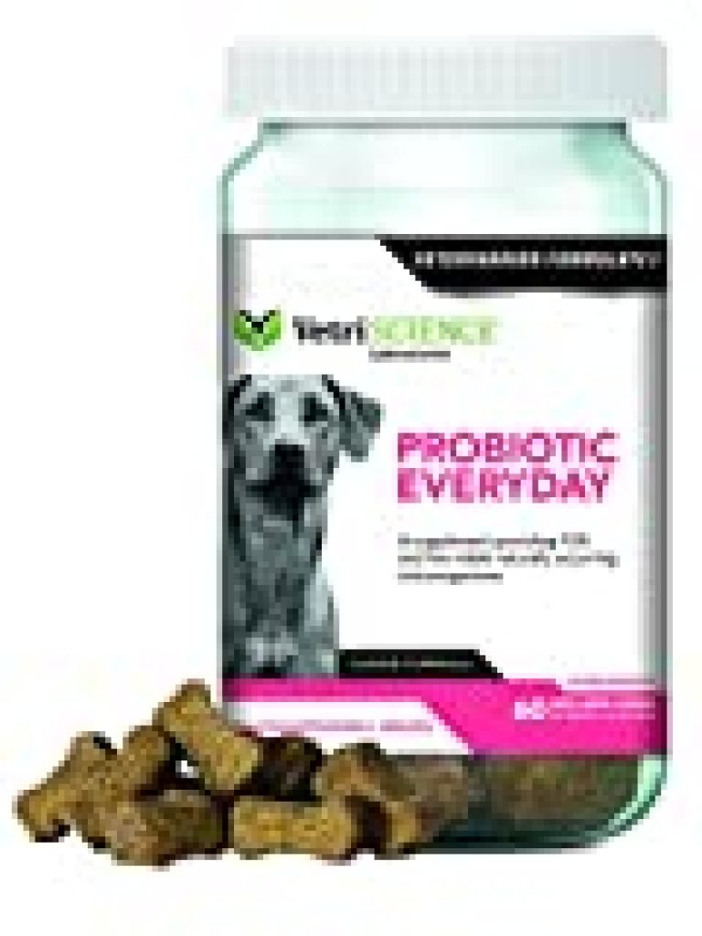 VetriScience Laboratories-Probiotic Everyday for Dogs, Digestive Health