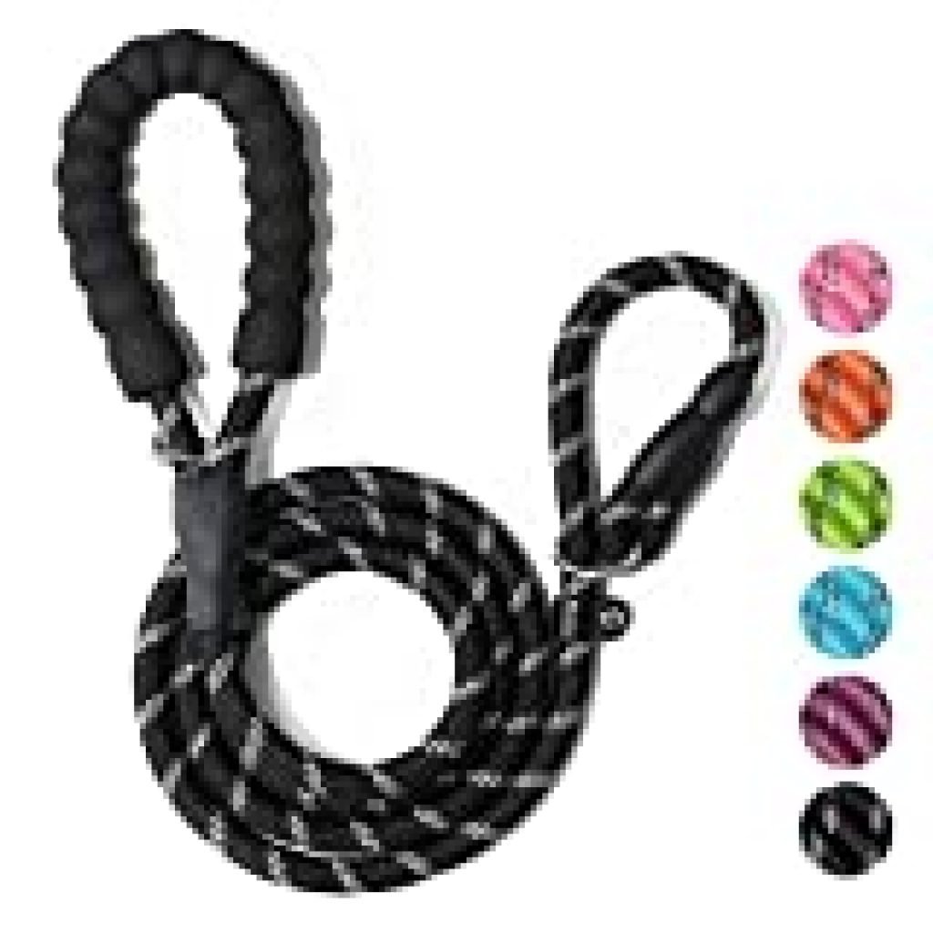 WePet Dog Training Slip Leash, Dog Slip Lead, Puppy Obedience Recall