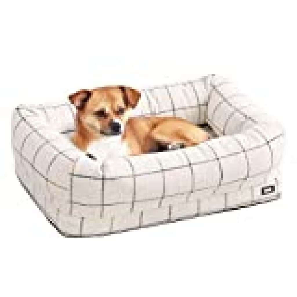 Barkbox 2In1 Memory Foam Dog Bolster Bed at James Knowlton blog