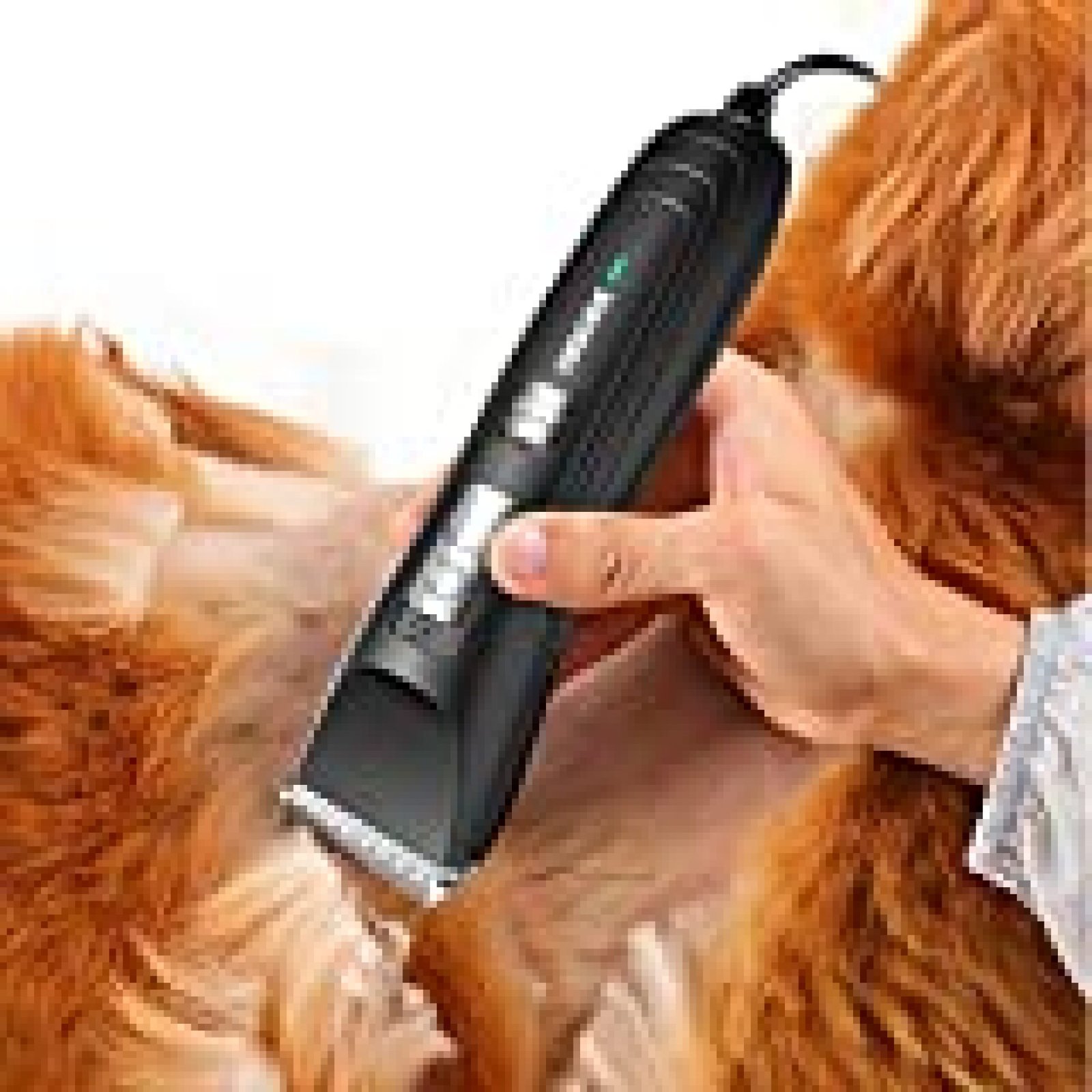 AIBORS Dog Clippers for Grooming Professional 12V High Power Plugin