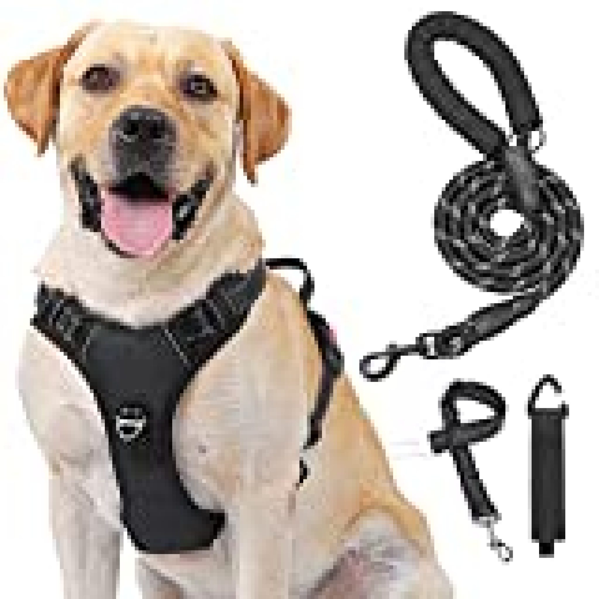 Kindacoool Dog Harness, No Pull No Choke Front Lead Dog Harness ...