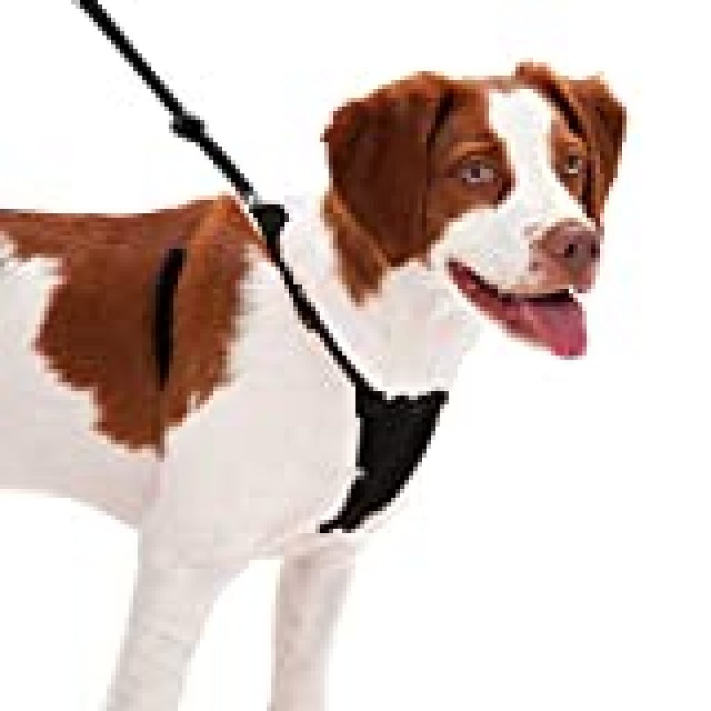 SPORN No Pull Dog Harness, Black, Medium - dogbowwow.com