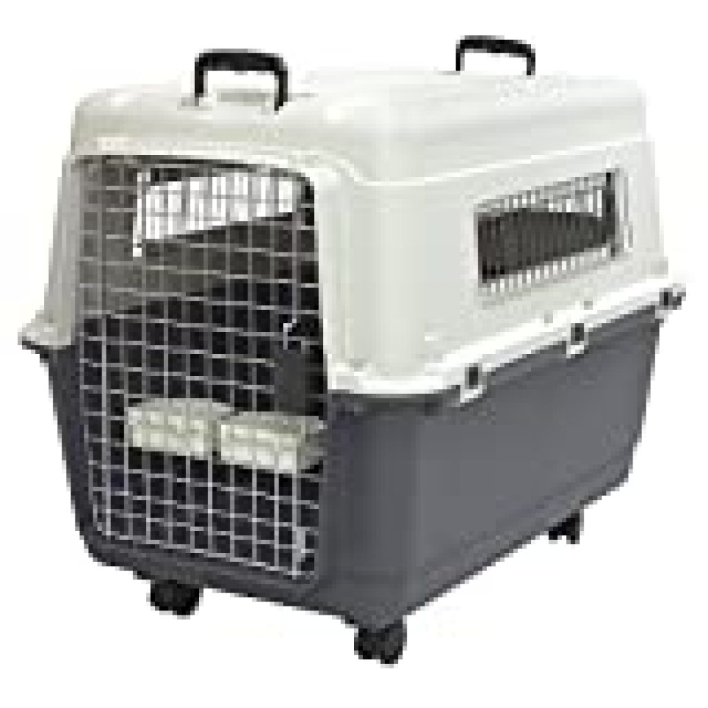 SportPet Designs Plastic Kennels Rolling Plastic Wire Door Travel Dog ...