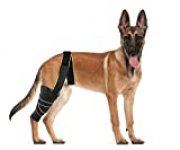 Petnedo Dog Knee Brace, Knee Cap Dislocation For Prain ACL, CCL, Arthritis – Keeps The Joint Warm And Stable, Extra Support , Breathable Compression Wrap Helps Reduces Pain And Inflammation-L