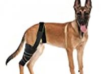 Petnedo Dog Knee Brace, Knee Cap Dislocation For Prain ACL, CCL, Arthritis – Keeps The Joint Warm And Stable, Extra Support , Breathable Compression Wrap Helps Reduces Pain And Inflammation-L