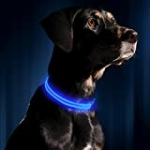 LED Dog Collar – USB Rechargeable – Available in 6 Colors & 6 Sizes – Makes Your Dog Visible, Safe & Seen