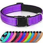 Joytale Reflective Dog Collar,Soft Neoprene Padded Breathable Nylon Pet Collar Adjustable for Puppy and Small Dogs,Purple,XS