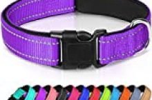 Joytale Reflective Dog Collar,Soft Neoprene Padded Breathable Nylon Pet Collar Adjustable for Puppy and Small Dogs,Purple,XS
