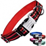 Black Rhino – Classic Striped Adjustable Dog Collar for Small Medium Large Breeds | 3m Reflective Threading | 4 Bright Colors – Matching Leashes Sold Separately (Red Striped, Medium)