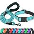 lynxking Check Cord Dog Lead Long Dog Training Leash Tracking Line with Comfortable Handle Heavy Duty Puppy Rope Lead for Small Medium Large Dogs (30 feet x 3/8 in, Blue)