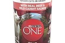 Purina ONE Natural Wet Dog Food Gravy, True Instinct Tender Cuts With Real Beef and Salmon – 13 oz. Can
