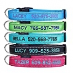 Personalized Dog Collar, Custom Embroidered Pet Name and Phone Number 4 Adjustable Sizes Quick Release Buckle and D-Ring