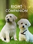 The Right Companion