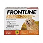 FRONTLINE Gold for Dogs Flea & Tick Treatment (Small Dog, 5-22 lbs) 6 Doses (Orange Box)