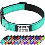 TagME Reflective Padded Personalized Dog Collars for Large and Extra Large Dogs,Custom Engraved Slide On Dog ID Tags,Stainless Steel Silent Nameplate,Teal L