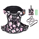 Petmolico No Pull Dog Harness Set, 2 Leash Attchment Easy Control Handle Reflective Vest Dog Harness Small Breed, Small Dogs Harness and Leash Set with Poop Bag Holder, Small Pink Rose