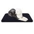 Bedsure Cat Bed for Indoor Cats, Cat Houses, Small Dog Bed – 15 inches 2-in-1 Cat Tent, Kitten Bed, Cat Hut, Cat Cave with Removable Washable Cushioned Pillow, Outdoor Dog Tent Beds, Dark Grey