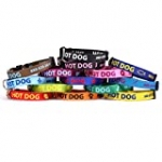Personalized Dog Collar with Custom Hi-Def Stacked Text and Art, an Embroidered Dog Collar Alternative – Available in 7 Sizes & 21 Colors