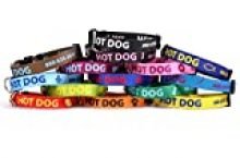 Personalized Dog Collar with Custom Hi-Def Stacked Text and Art, an Embroidered Dog Collar Alternative – Available in 7 Sizes & 21 Colors