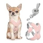Pawaboo Dog Harness with Leash Set, X-Frame No Pull Pet Harness, Adjustable Choke Free Dog Vest Harness for Small Medium Dogs & Puppies, Breathable Puppy Vest with Leash for Walking Outing (S, Pink)