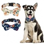 EXPAWLORER Floral Dog Collar with Detachable Bow Tie – 2 Pack Adjustable Pet Collars for Small Medium Dogs