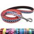 Anti-bite Spiked Studded Dog Collar Adjustable Stylish Leather Dog Collar for Puppy Small Medium and Large Dogs (Shining Blue,XS) Collar para perro con tachuelas y púas Anti-mordida