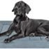 Furhaven Pet Furniture Cover – Sofa Buddy Two-Tone Reversible Water-Resistant Living Room Furniture Cover Protector Pet Bed for Dogs and Cats, Gray and Mist, Medium