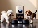 WOPET 6L Automatic Dog Feeder: More Than A Fodd Feeder