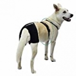 Ortocanis Hip and Back Brace, for Dogs with Hip Dysplasia or osteoarthritis – Size L