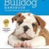 Sleepypod Clickit Sport Bundle Edition – Safest Dog Travel Harness (Large, Robin Egg Blue)