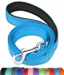 FunTags 6FT Reflective Dog Leash with Soft Padded Handle for Training,Walking Lead for Large & Medium Dog,1 Inch Wide,SkyBlue