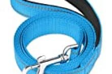 FunTags 6FT Reflective Dog Leash with Soft Padded Handle for Training,Walking Lead for Large & Medium Dog,1 Inch Wide,SkyBlue
