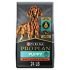 Pet Health Pharma Truseb | #1 Chlorhexidine 4% Shampoo for Dogs, Puppies & Cats Medicated Shampoo Against Skin Conditions Broad Spectrum Vet Formula (12 Ounce)