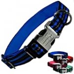 Black Rhino – Classic Striped Adjustable Dog Collar for Small Medium Large Breeds | 3m Reflective Threading | 4 Bright Colors – Matching Leashes Sold Separately (Blue Striped, Small)